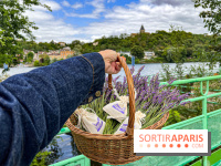 Fête de la Lavande sur le site Seine Aval Achères/Maisons-Laffitte - image00003