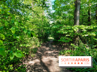 Balade nature dans la forêt de Montmorency, nos photos