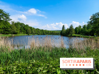 Balade nature dans la forêt de Montmorency, nos photos