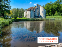 Balade nature dans la forêt de Montmorency, nos photos