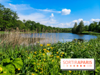 Balade nature dans la forêt de Montmorency, nos photos