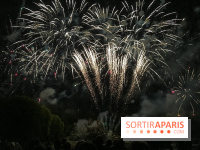 Visuels feux d'artifice - IMG 6241