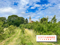 Cergy, la ville aux milles facettes - image00130