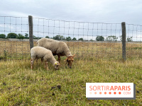 La ferme de Saint-Cyr l'Ecole - image00043
