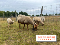 La ferme de Saint-Cyr l'Ecole