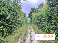 Le parc de la Haute-Île à Neuilly-sur-Marne - image00003