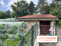 Le parc Georges Brassens, pour se croire à la campagne dans le 15e - image00026