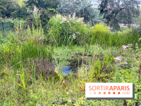 Le parc Georges Brassens, pour se croire à la campagne dans le 15e