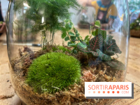 Boby la Plante