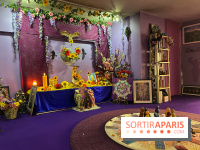 Les Mists Terre d'Avalon - IMG 4560