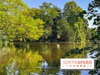 Les lacs et rivières du Vésinet, dans les Yvelines