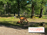 Espace Rambouillet - IMG 4425