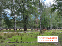 Espace Rambouillet