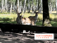 Espace Rambouillet - IMG 4544