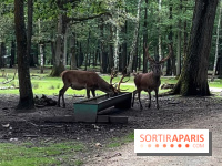 Espace Rambouillet - IMG 4547