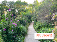 Le parc de Belleville - image00019