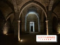 Provins, cité médiévale - IMG 4674