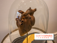 Exposition Organessence Ono galerie La Lison