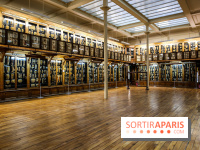 Musée des Moulages à Paris, nos photos - IMG 0841