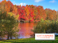 Bassin - étang de la Boissière à Elancourt