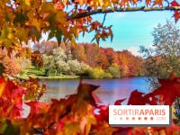 Bassin - étang de la Boissière à Elancourt