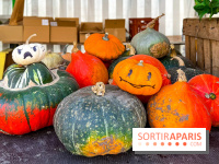 Automne au Potager du Roi - Citrouilles - Halloween