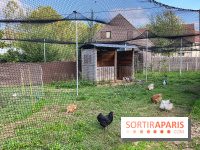 La ferme pédagogique du parc des Chanteraines - image00046