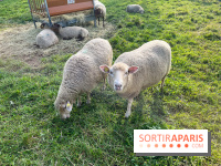 La ferme pédagogique du parc des Chanteraines