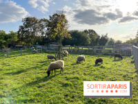 La ferme pédagogique du parc des Chanteraines