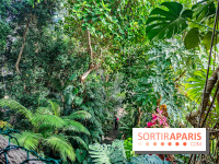 Automne Tropical 2023