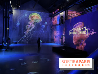 Océans, l'Odyssée Immersive à l'Atelier des Lumières - IMG 6095