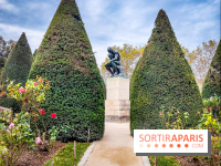 Le Musée Rodin, ses collections et son jardin