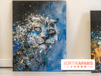 Le festival Street Art gratuit à la Poste du Louvre  -  A7C8170