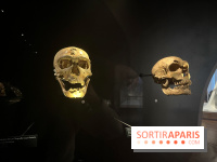 Le musée de l'Homme - collections permanentes
