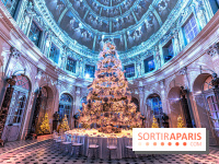 Le Grand Noël au Château de Vaux le Vicomte 2023 - photo -  A7C8269