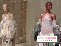 L’exposition retrospective de la créatrice de mode Iris Van Herpen au Musée des Arts Décoratifs - image00025