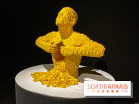 Expo The Art of The Brick Galerie Montparnasse - IMG 3119