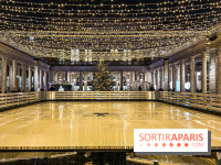 La Patinoire AMI Paris au Palais Royal - image00009