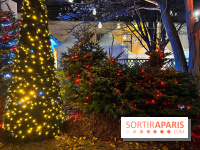 Bel Hiver 2023 à Saint-Denis - nos photos - image00013