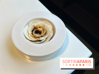 Vaisseau d'Adrien Cachot - Champignons