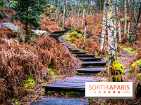 Le sentier de l'érosion à Fontainebleau - balade en forêt -  A7C4620 HDR
