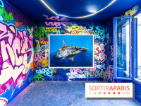 Colors Festival 2024, la nature reprend ses droits  -  A7C5734