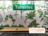 Le Métro Tuileries en mode végétal -  A7C5673