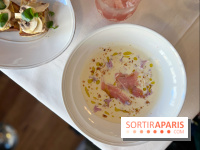 Babille - Velouté Dubarry