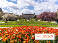 Visuel Paris 5e -  jardin des plantes - museum - printemps - fleurs