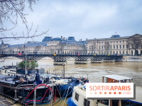 Visuel Paris 6e - Seine Pont des Arts hiver