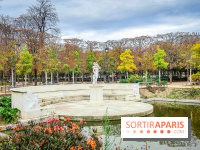 Visuel Paris 1er - jardin des Tuileries automne 