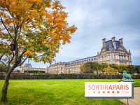 Visuel Paris 1er - jardin des Tuileries automne 