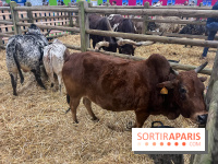 Salon de l'agriculture 2024 - image00002