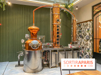 La Distillerie de l’Arbre Sec : l'atelier de création de gin à deux pas du Louvre